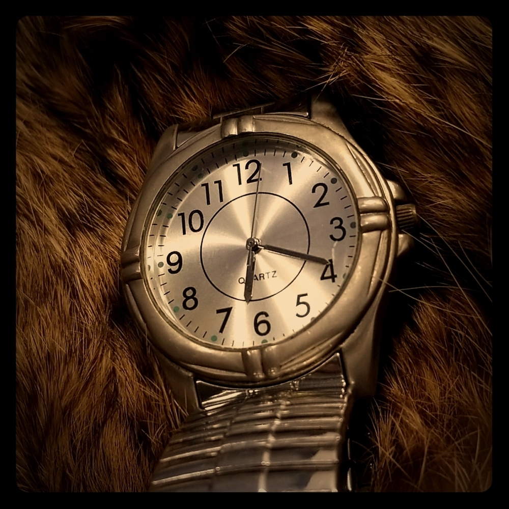 Stainless Steel Quartz Watch